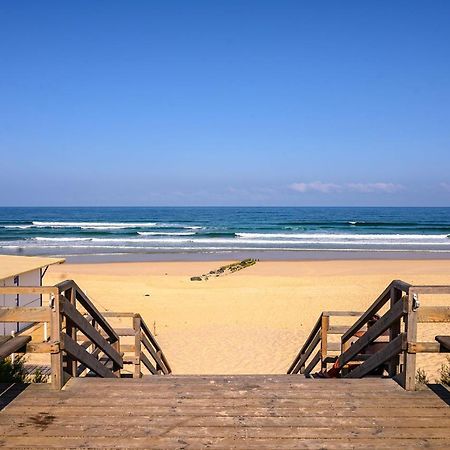 T2 Mimizan Plage Ngoại thất bức ảnh